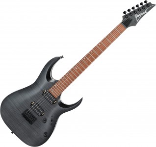 Ibanez RGA42FM-TGF Electric Guitar- Transparent Gray Flat